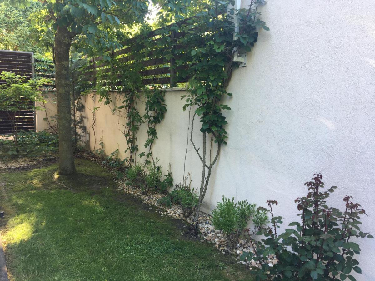 Madarhegy With Garden Buda Side