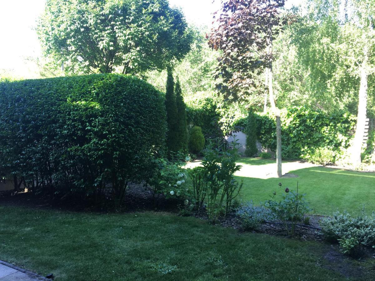 Madarhegy With Garden Buda Side Apartment Budapest
