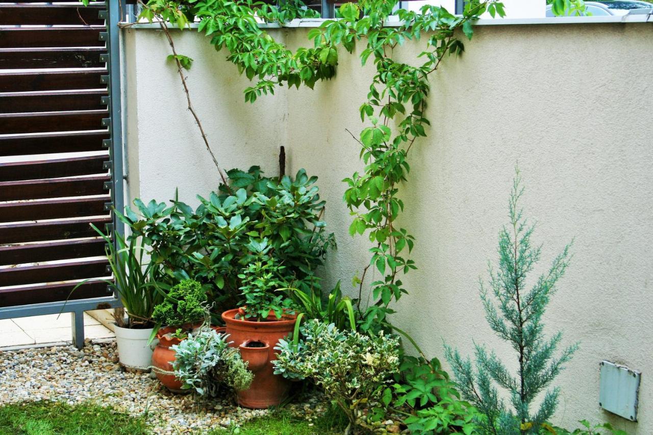 Madarhegy With Garden Buda Side Apartmán